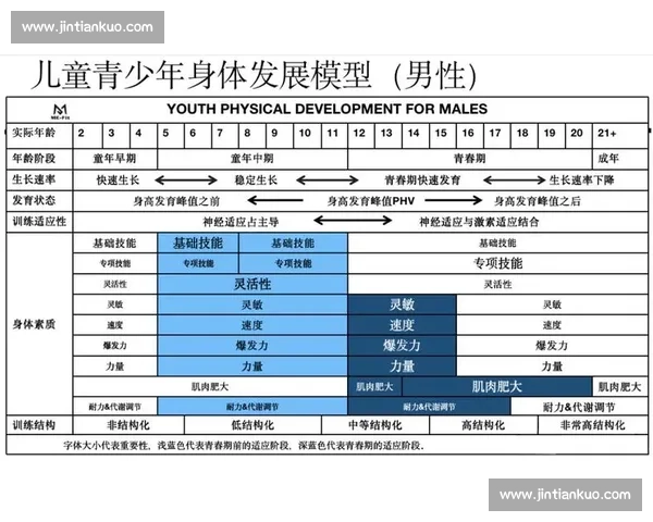 基于运动表现分析的全面体育能力评估与发展研究